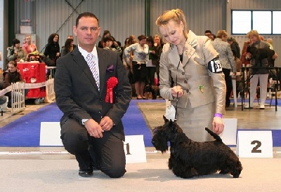 Verascott - Super News From Dog Show in Lithuania !