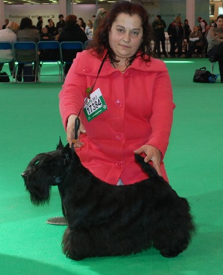 Verascott - VERASCOTT  EXTREM  DREAM : 3ème à Crufts !!!